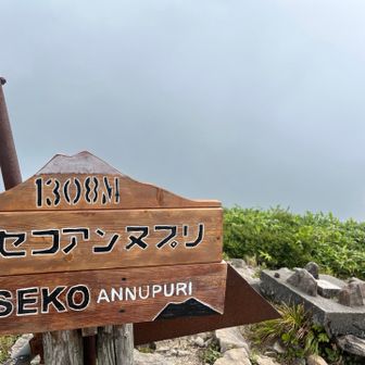 リベンジならず