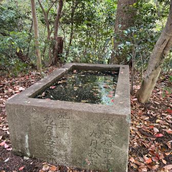 よくここまで運べたものだと、感心。。。