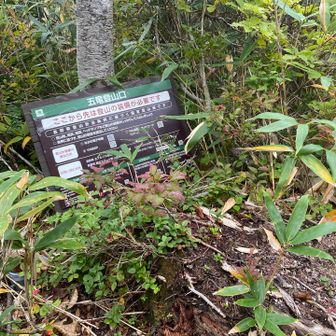 さらに少し行くと、登山口表示が
