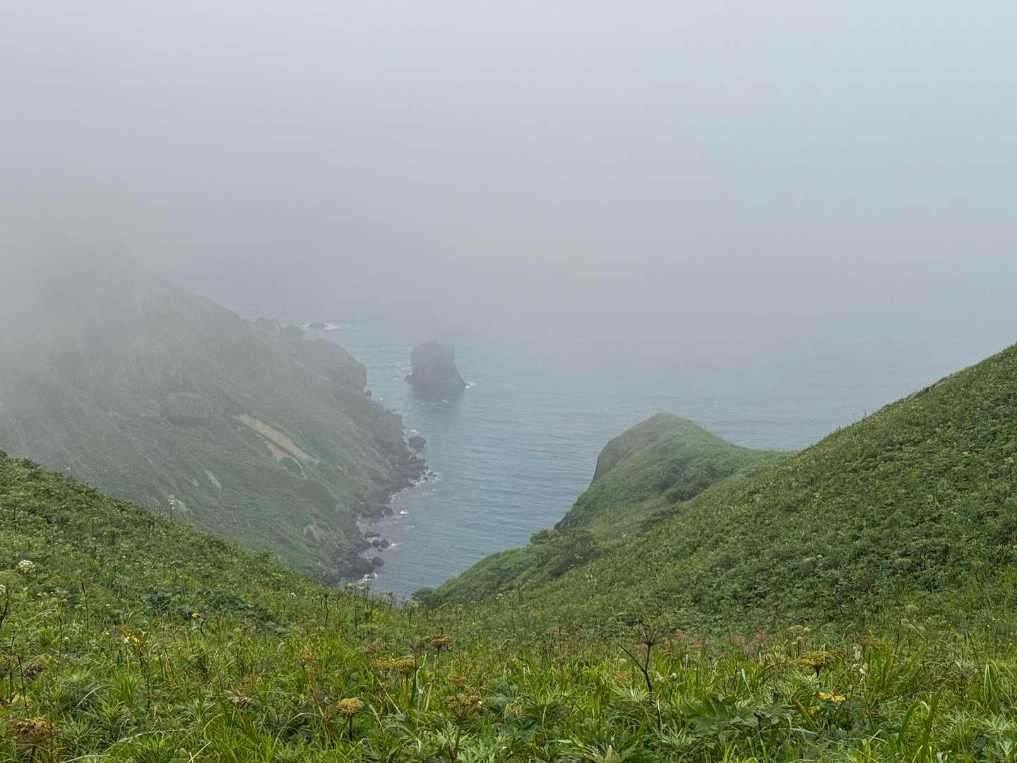 元地灯台-つばめ山-桃岩展望台登山口-礼香寺 縦走コースの写真