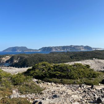 丸山手前からカンビキ展望台と新島。新島も平べったいけど、最高峰は400m超だったかな？
