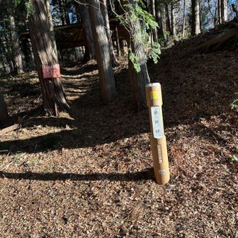 登谷山を降りてしばらくすると釜伏峠　ここからはずっと舗装道