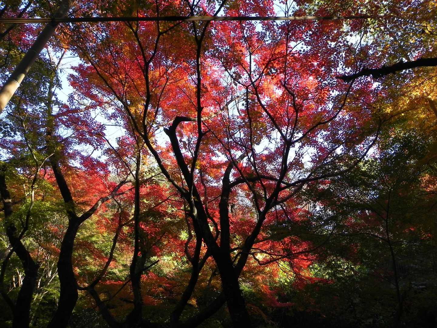 こちらも素敵やん💓