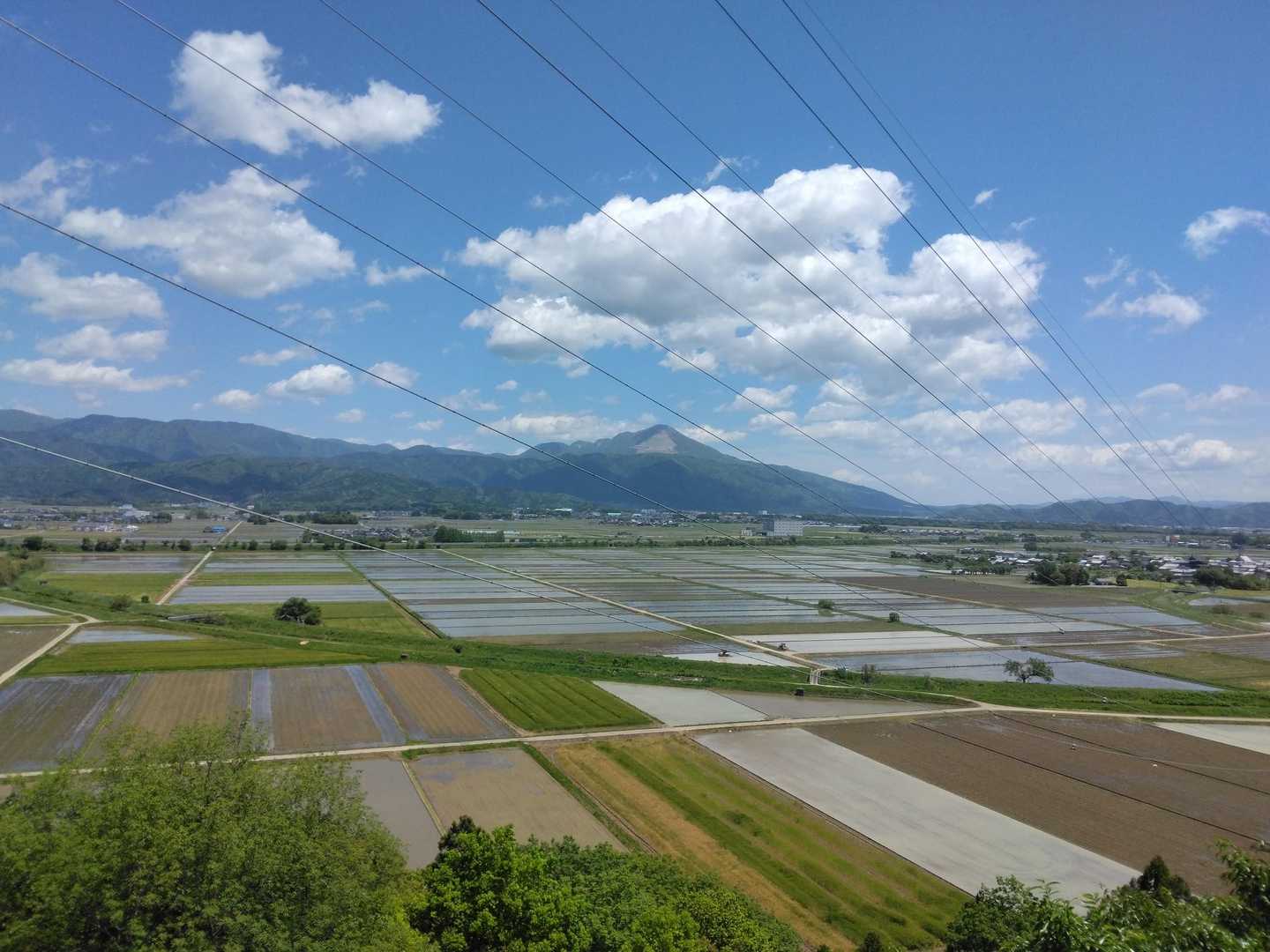 伊吹山が。