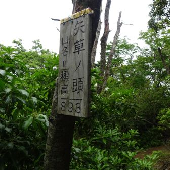 少し歩くと矢草ノ頭です。