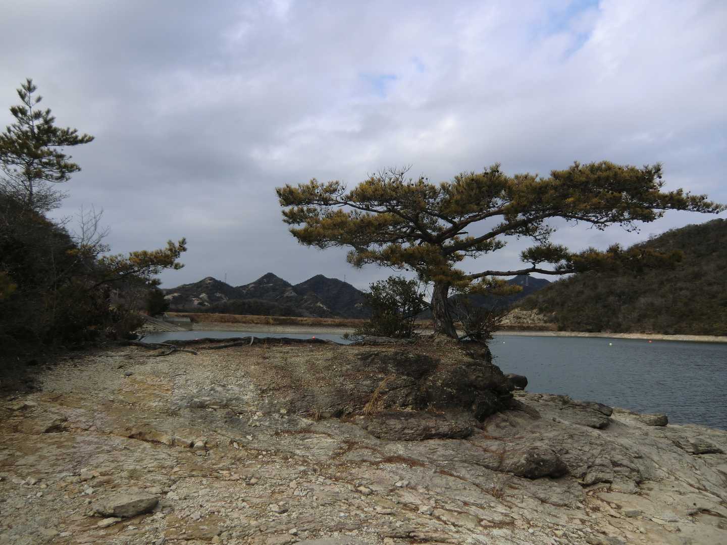 山口登山口-三草山 周回コースの写真