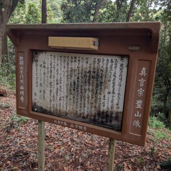 豊山派