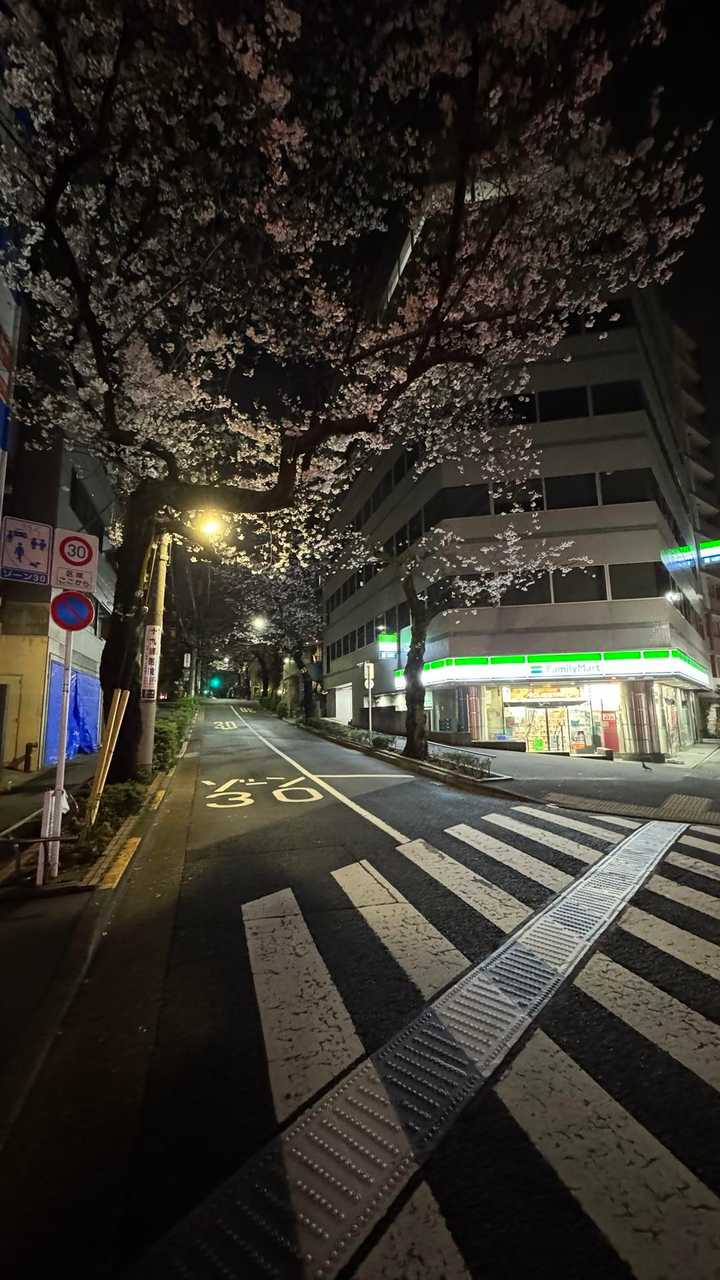 深夜ウォーキング（晴海〜南浦和） の写真 6