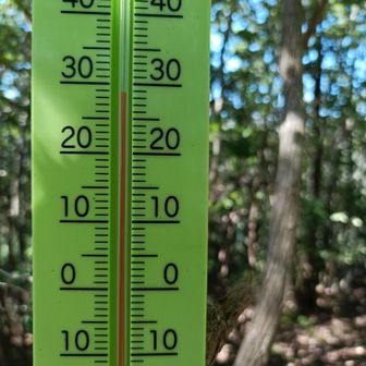 山頂の気温は、29度！