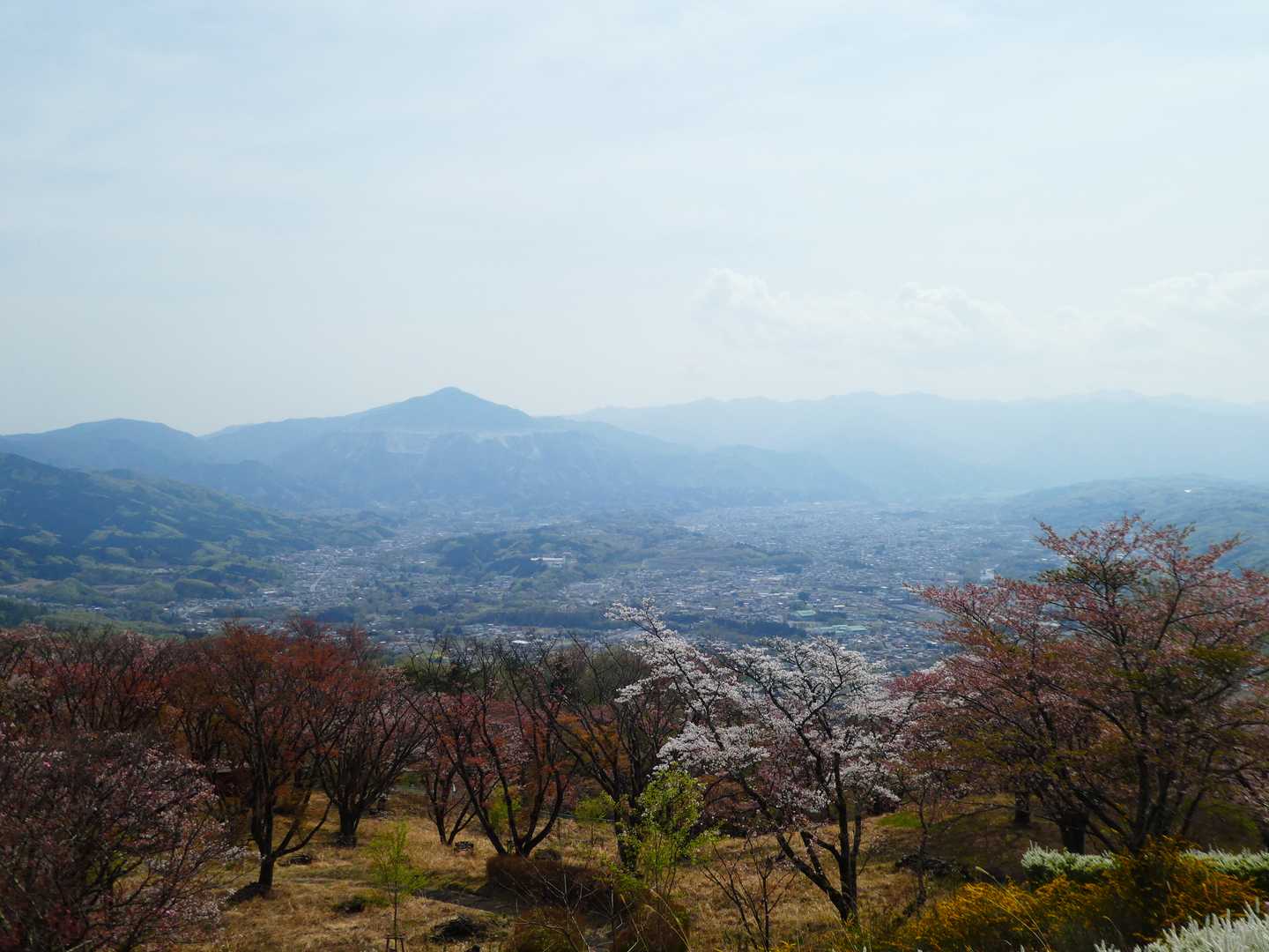 武甲山はガスって見え難かった
