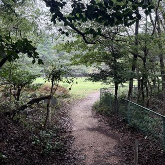 山頂公園まで来ました〜