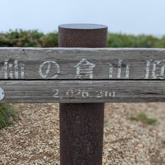 2026mの文字、今年は強調しても良いかと