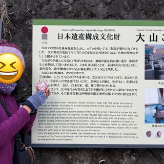 こま参道で大山こま購入しちゃいました✨
最後の一人になった職人さんが作ったこまです❗️
大山こまは、縁起物でもあるようです😊グルグル回って金運アップ⤴️日本の経済がまわりますように‼️個人的には年末ジャンボよろしくお願い致します🙇‍♀️✨✨

大山麓からバス🚌に乗って伊勢原駅へ💨
伊勢原駅から小田急線🚃で秦野駅に戻りまーす‼️