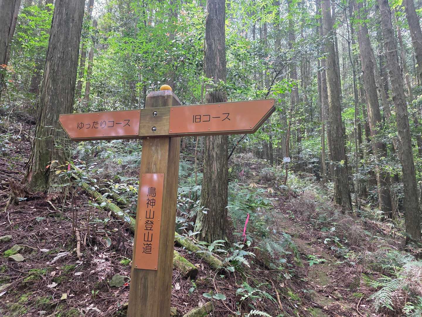 旧コースを進む