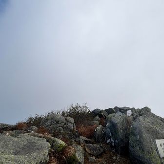 山頂！