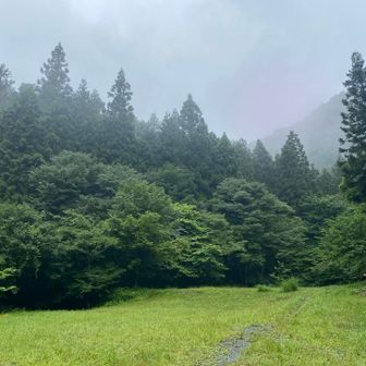 小下沢から景信山への分岐点に到着です
雲や霧ははれません