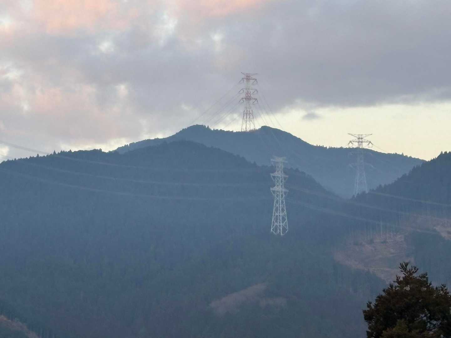 鳴蟲山方面