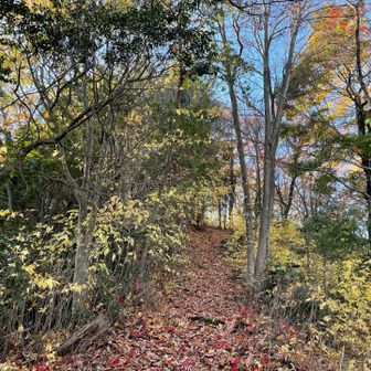 紅葉の残る道を進むと