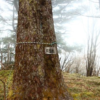 大見岳だって。
何も見えんが？