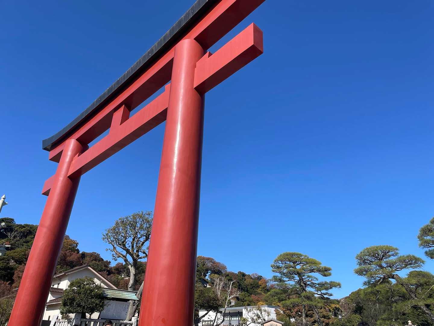 鎌倉駅-長勝寺バス停-名越切通入口-名越切通入口-お猿畠の 周回コースの写真