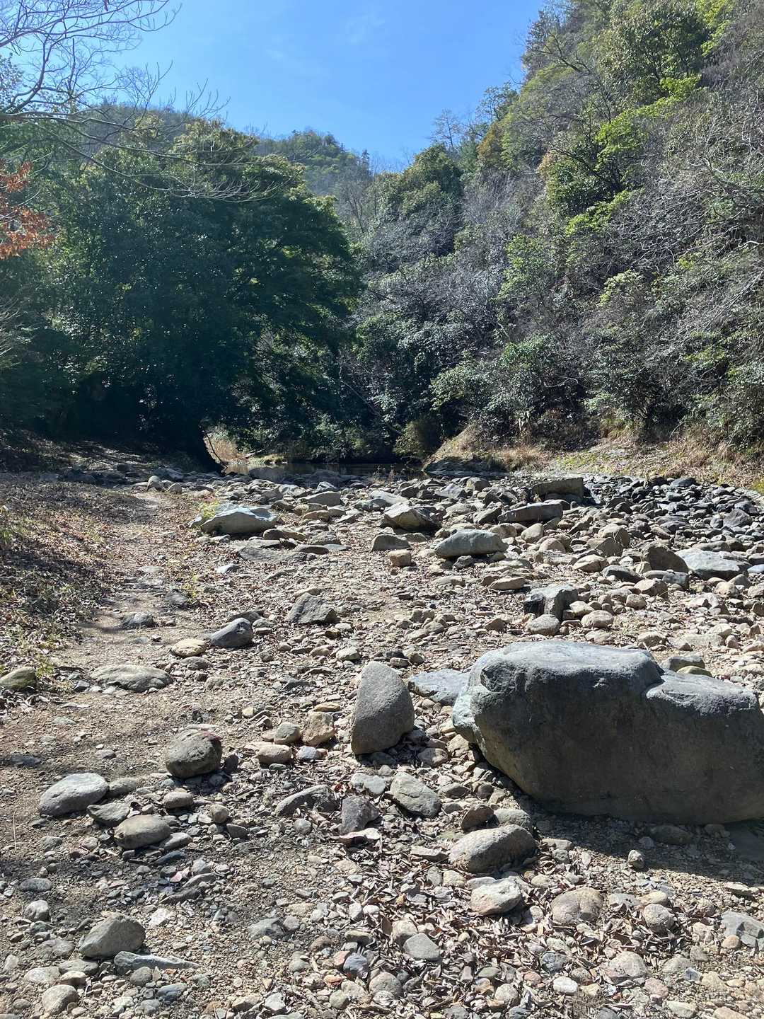 アドベンチャーです。