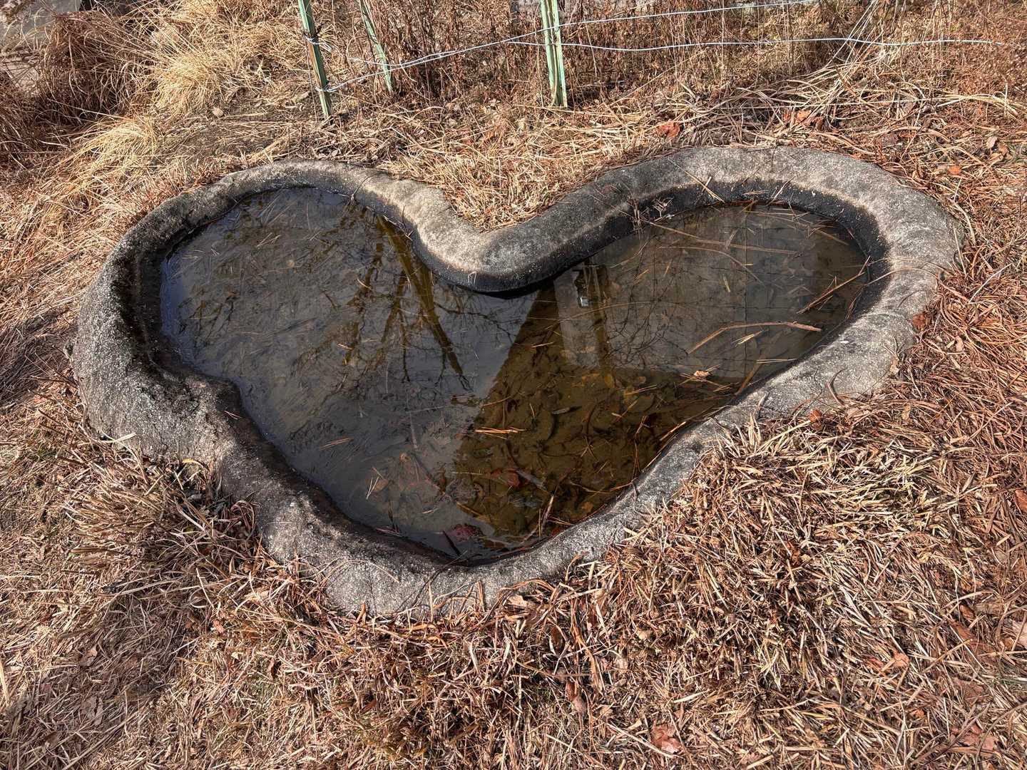 よく見るハートの水溜まり♡