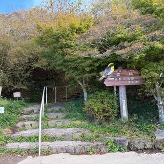 妙見岳山頂　標高1333m