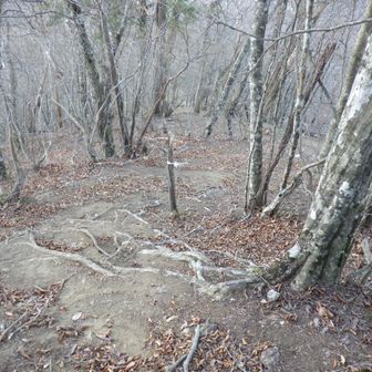 急斜面の下りが延々と続く