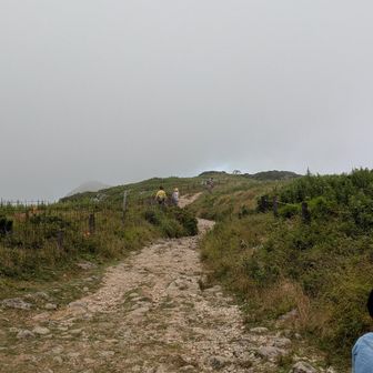 同じ道を下山しま～す