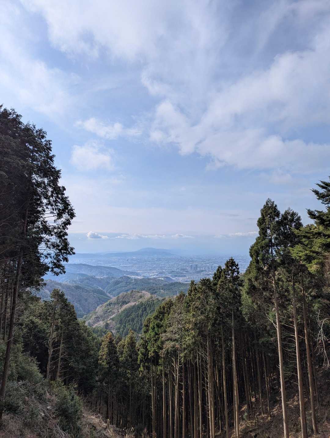 途中の景色😊