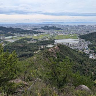 淡路島🏝️方面💚💙