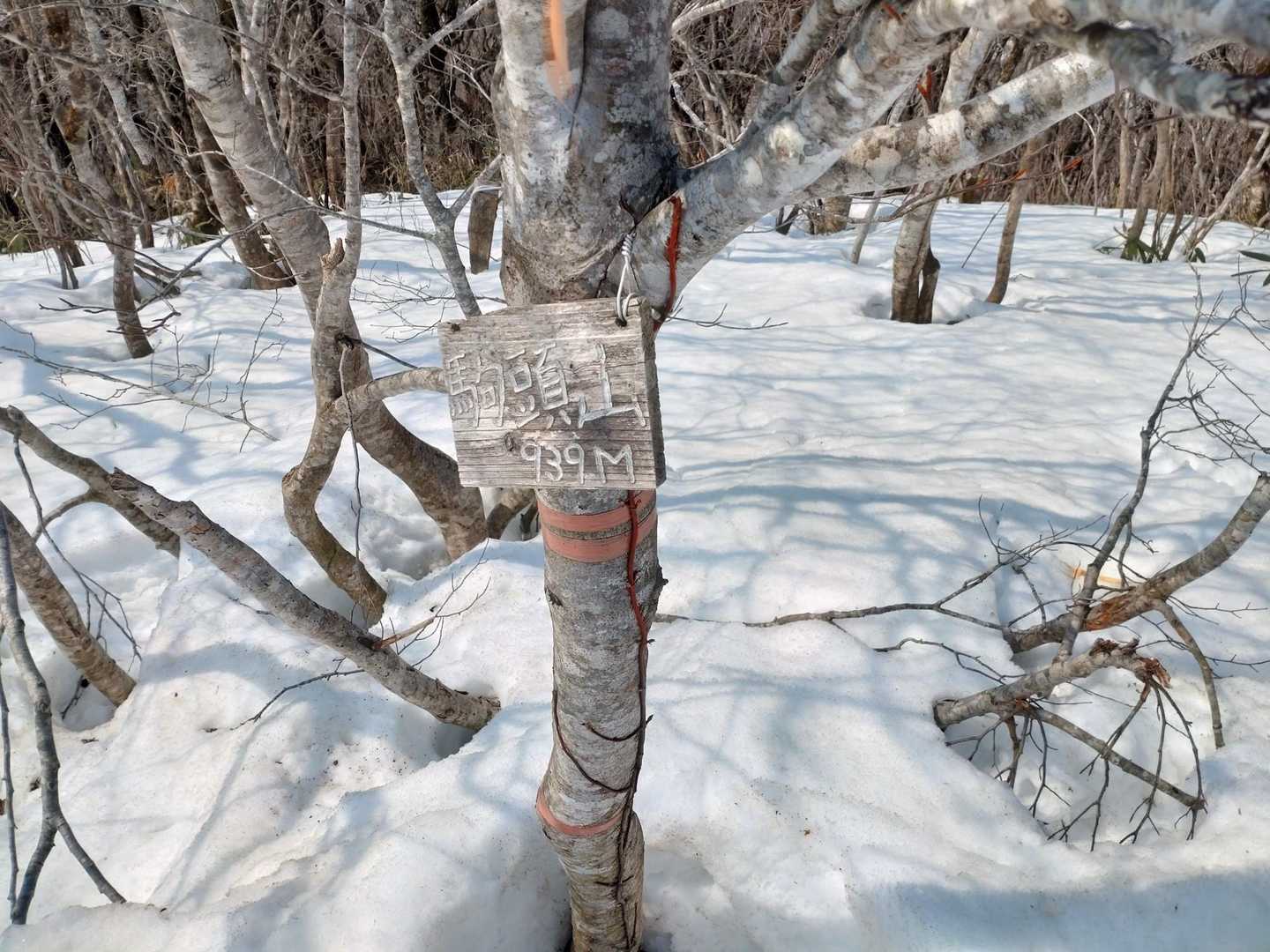 山頂到着