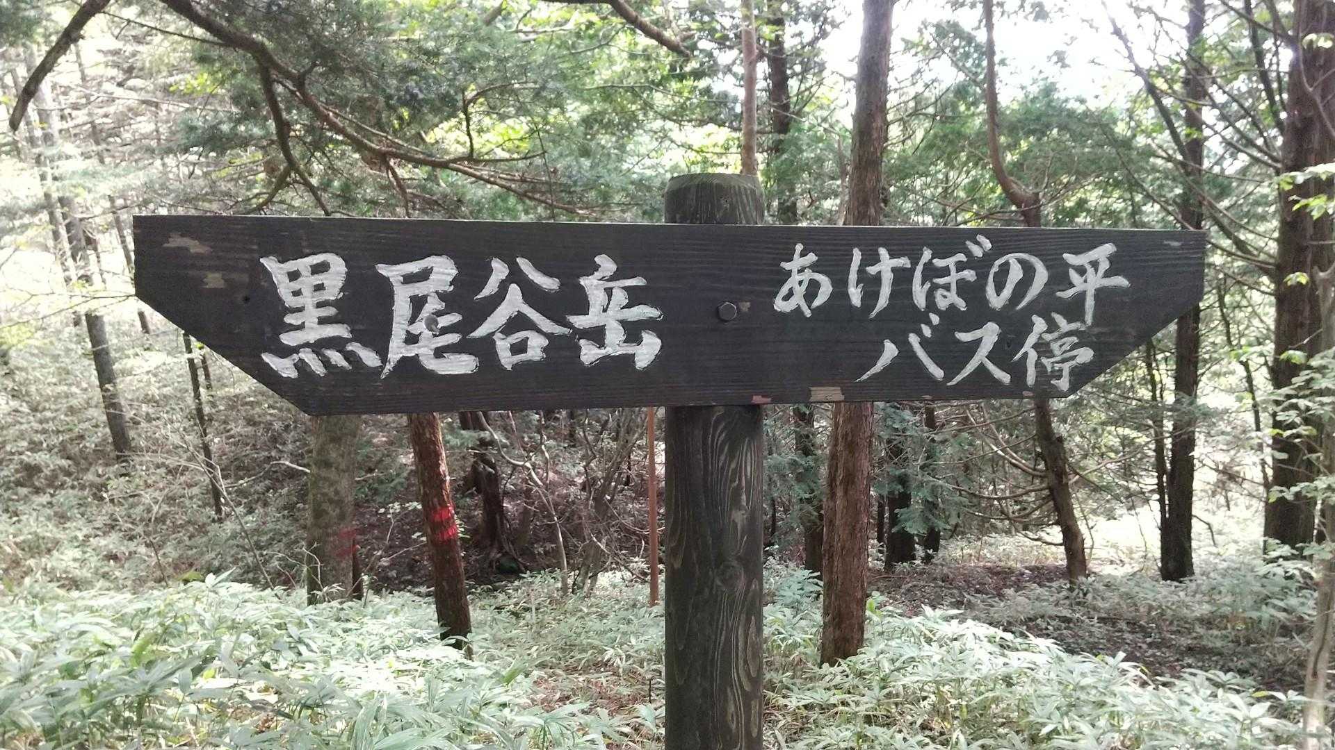 黒尾谷岳 往復コースの写真