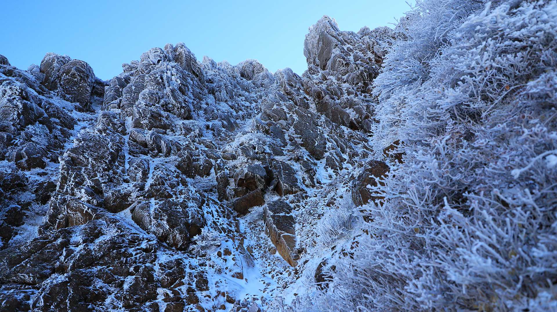 岩と霧氷