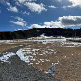 では昼間も❄️氷点下🥶の原山&松倉山へ🥾

原山麓周辺はだいぶ雪が消えて芝生が出現してます😲

昨シーズンと比較すると、やはり雪が少な過ぎる‼︎