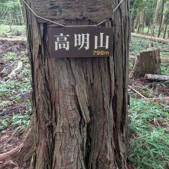 こうみょうさん 798m