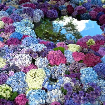 太宰府天満宮のド派手な手水
ちょっと苦手