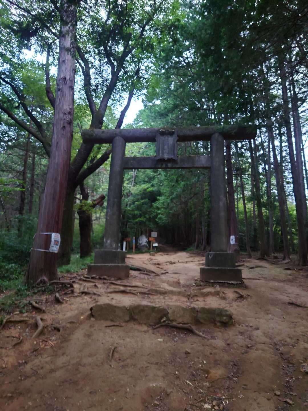 日和田山登山口-金刀比羅神社-日和田山-物見山 往復コースの写真
