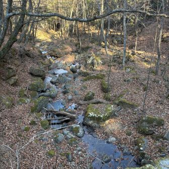 橋の下には沢もあって良い雰囲気
