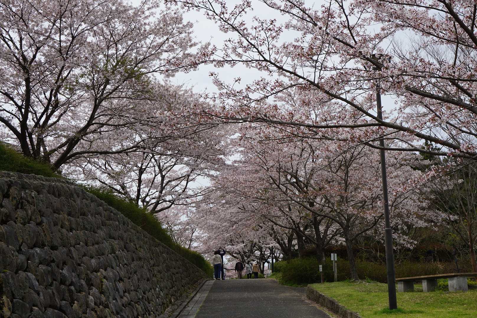 郡岳 周回コースの写真