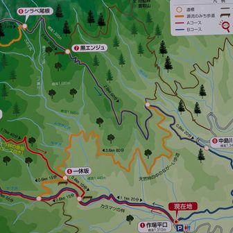 案内板にヤブ沢コースでない方は急で下り向きと書いてあるので、ヤブ沢コースに変更しました