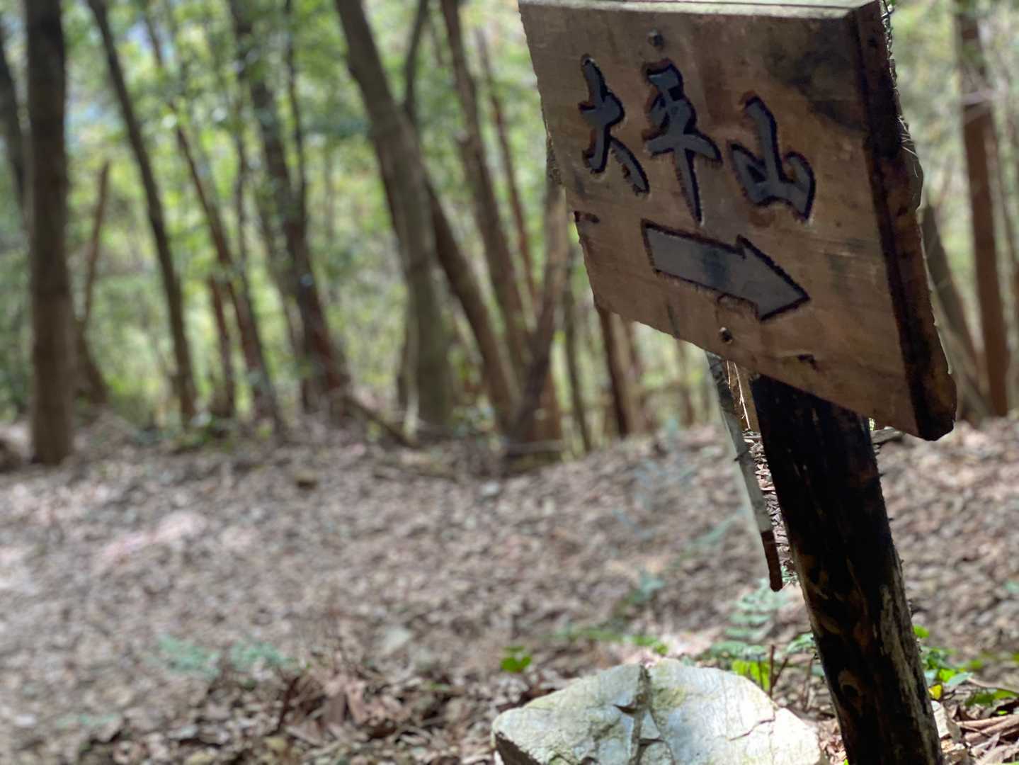 大平山登山口-大平山 往復コースの写真