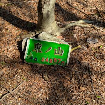 地面に立てておきました✨