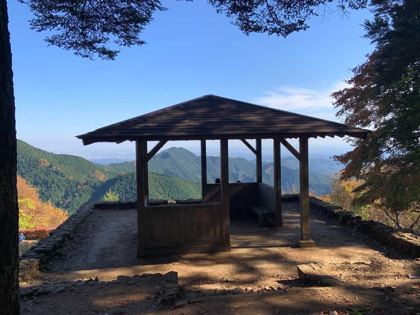 東家