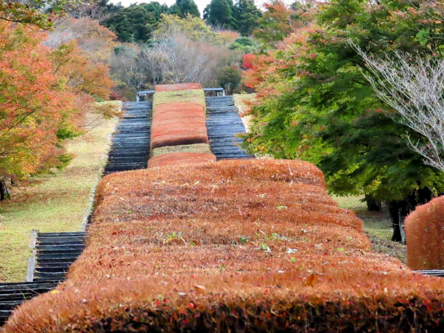 日本一の枕木階段
さて!登ります