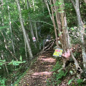 犬戻峡の入口部分はこんな感じ