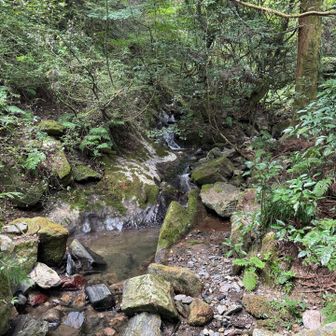 川沿いで涼しい