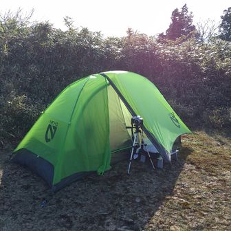 りきまる。と愉快な仲間たち🐕️🐕️