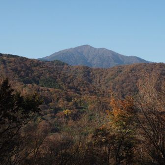 ここからも大山がよく見えます