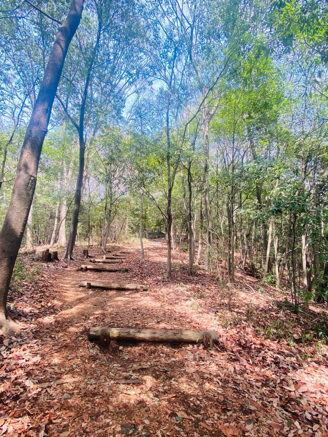 みかも山公園西口登山口-三毳山-中岳 周回コースの写真